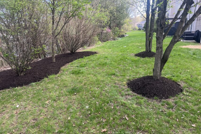 Landscape & Design Services
